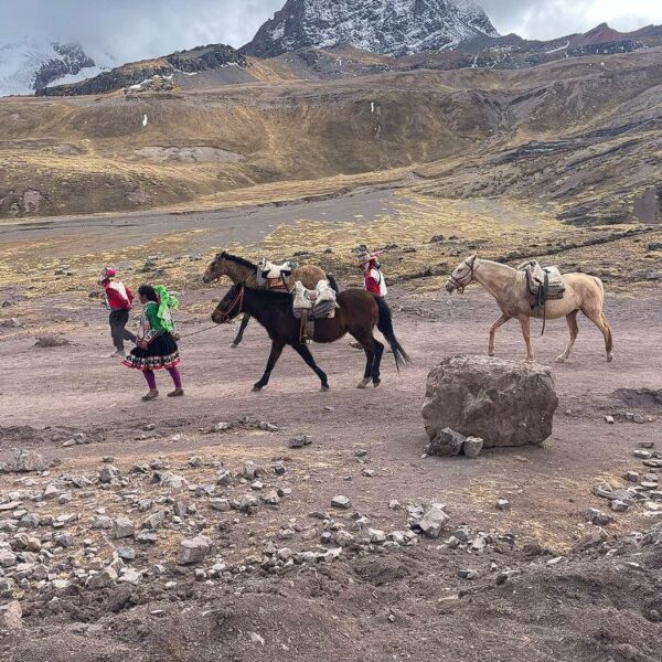 horses in the mountain of colors vinicunca